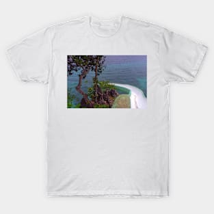 Siquijor Splash: Take the Plunge at Salagdoong Beach T-Shirt